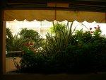 3 pi�ces rez de piscine